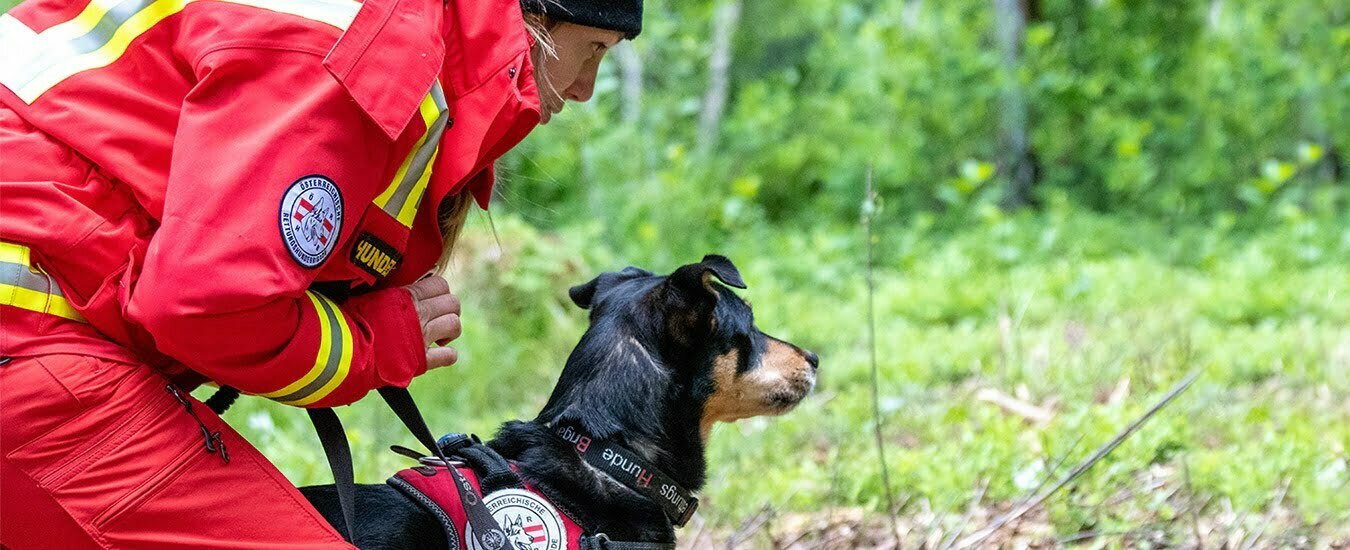 Österreichische Rettungshundebrigade
