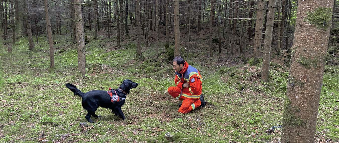 Österreichische Rettungshundebrigade