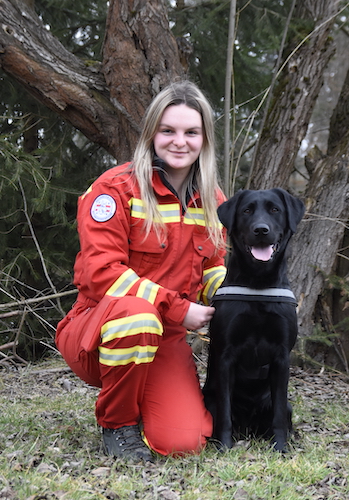 HF_Hengst_Staffel_Heidenreichstein
