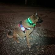 Einsatz Gmunden 28.02.2024(1)