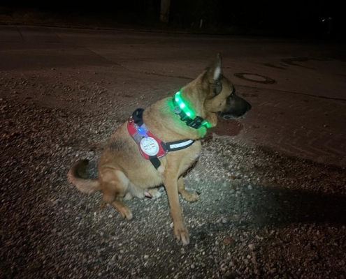 Einsatz Gmunden 28.02.2024(1)