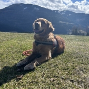 Einsatz St. Stefan am Inn 15.03.2024