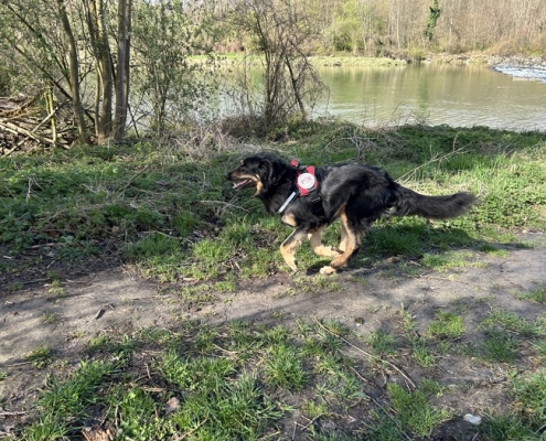 Landespruefung 23-24.03.24