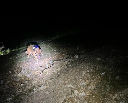 Einsatz Kremsmünster 09.04.2024