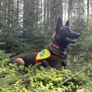 Einsatz St. Radegund 28.04.2024