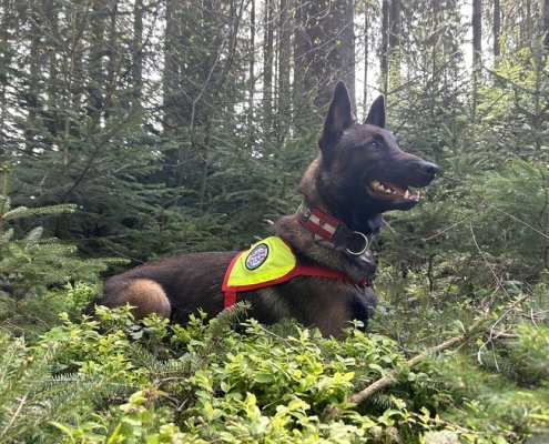 Einsatz St. Radegund 28.04.2024