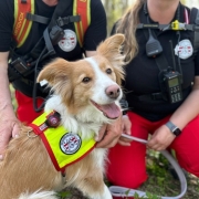 Einsatztest 06.-07.04.2024