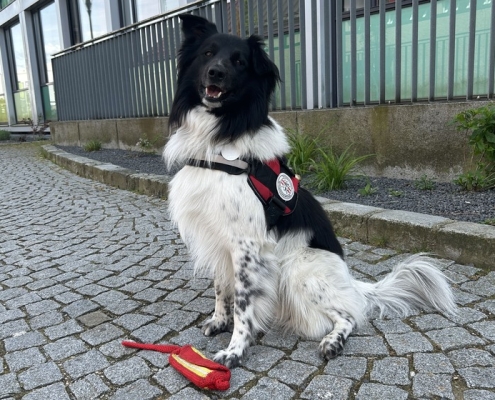 Einsatz Schärding 06.05.2024