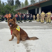 Einsatz Tarsdorf 06.05.2024