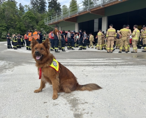 Einsatz Tarsdorf 06.05.2024