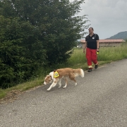 Einsatz St. Georgen im Attergau 08.06.2025(1)