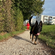 Einsatz Gasten 30.09.2024