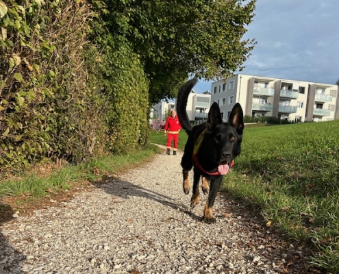 Einsatz Gasten 30.09.2024