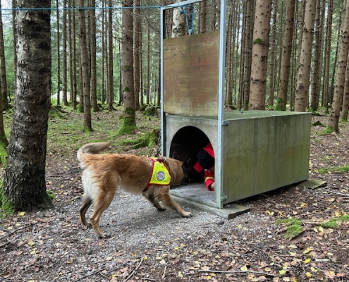 Basis und Helferprüfung