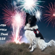 Silvester ÖRHB 2025