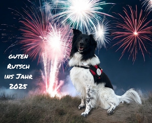 Silvester ÖRHB 2025