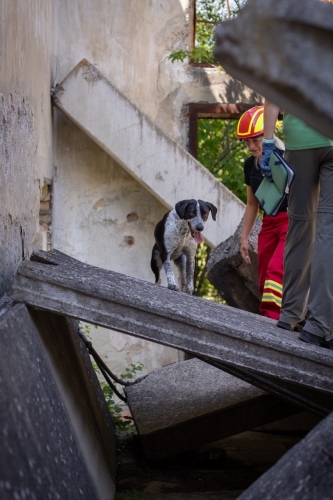 Landesübung_Bild3_19-20.07